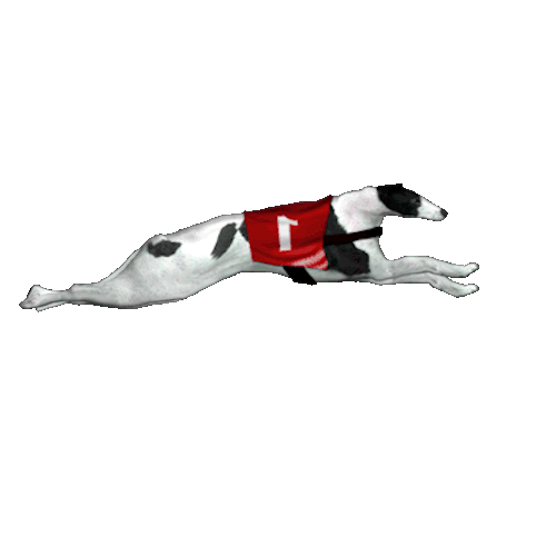 Greyhound Racing